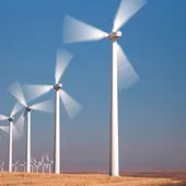 Colectivos ecologistas denuncian el impacto visual de los aerogeneradores Colectivos ecologistas denuncian el impacto visual de los aerogeneradores