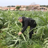 Pagesos al camp Pagesos al camp