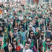 Romería de les Canyes Romería de les Canyes