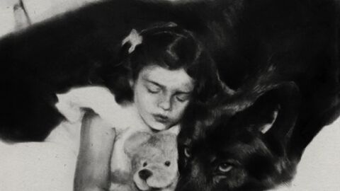 Portada de 'White Feather Hawk Tail Deer Hunter'