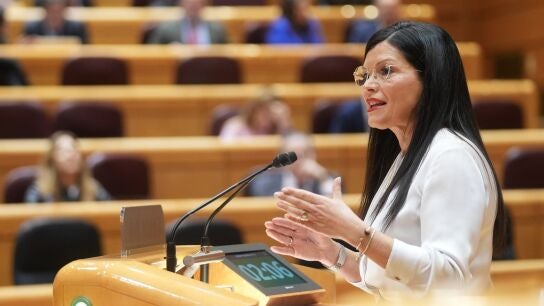 Nidia Ar&eacute;valo, Senado