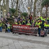 Movilización de trabajadores de Maderas de Llodio