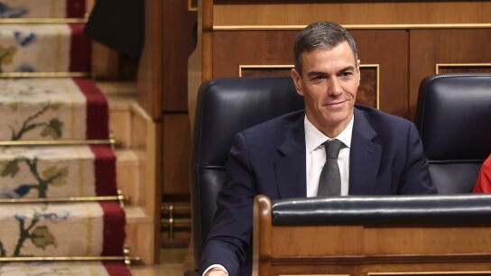 El presidente del Gobierno, Pedro S&aacute;nchez, durante una sesi&oacute;n de control en el Congreso