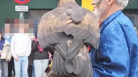 Pacma rechaza el uso de un águila en el desfile del Carnaval de Badajoz mientras la comparsa defiende que no sufrió Pacma rechaza el uso de un águila en el desfile del Carnaval de Badajoz mientras la comparsa defiende que no sufrió