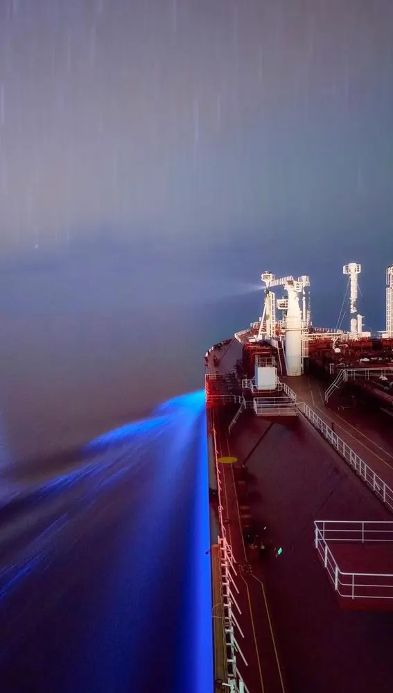 Bioluminiscencia de la mar Bioluminiscencia de la mar