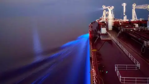 Bioluminiscencia de la mar Bioluminiscencia de la mar