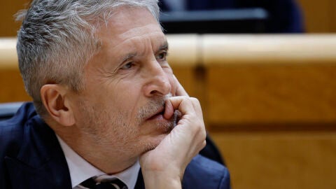El ministro del Interior, Fernando Grande-Marlaska, asiste a la sesi&oacute;n de control al Gobierno celebrada en el pleno del Senado, este martes en Madrid. 
