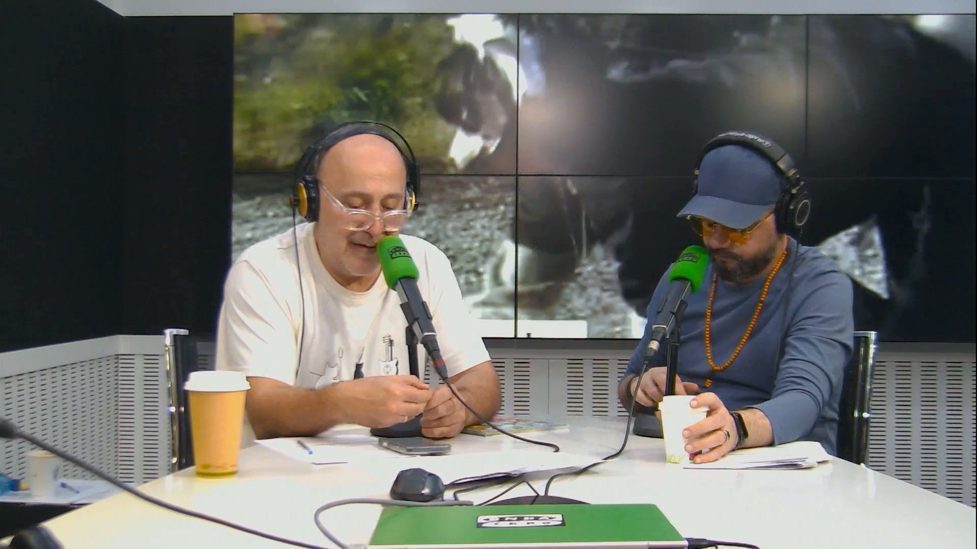 "Por qué siempre eligen ser lobos o zorros y nunca cochinos": el debate sobre los therian llega a Como el perro y el gato "Por qué siempre eligen ser lobos o zorros y nunca cochinos": el debate sobre los therian llega a Como el perro y el gato