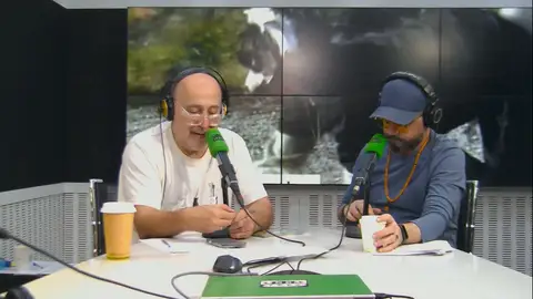 "Por qué siempre eligen ser lobos o zorros y nunca cochinos": el debate sobre los therian llega a Como el perro y el gato "Por qué siempre eligen ser lobos o zorros y nunca cochinos": el debate sobre los therian llega a Como el perro y el gato