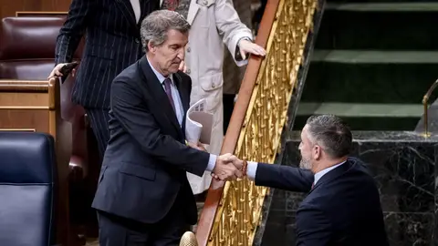 Alberto Núñez Feijóo y Santiago Abascal se saludan en el Congreso de los Diputados Alberto Núñez Feijóo y Santiago Abascal se saludan en el Congreso de los Diputados