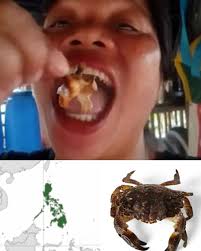 Cuidado con lo que comes