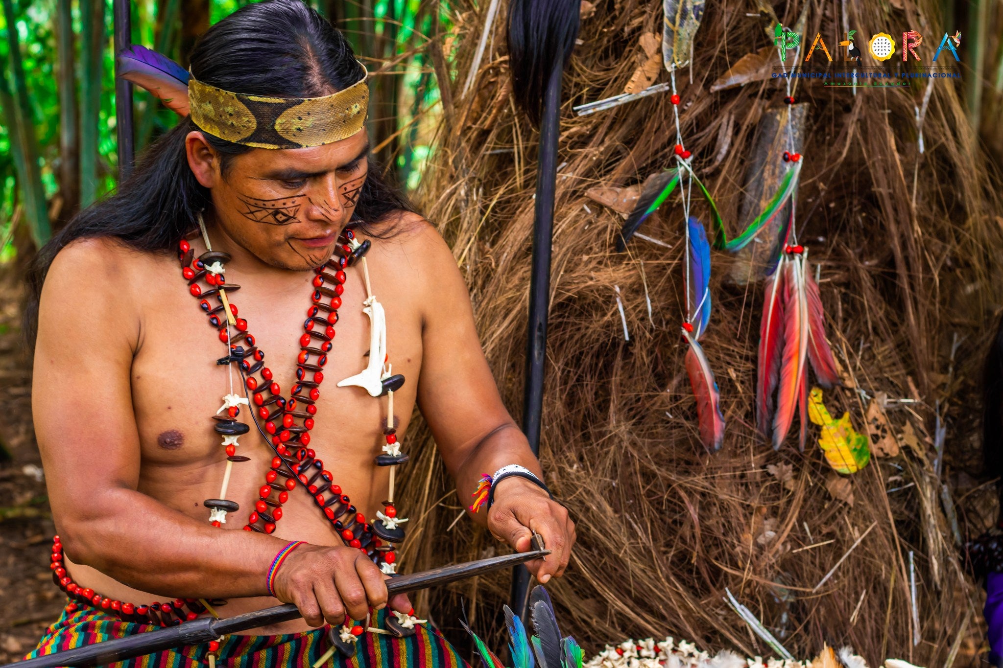 Cómo abrir las puertas de la percepción