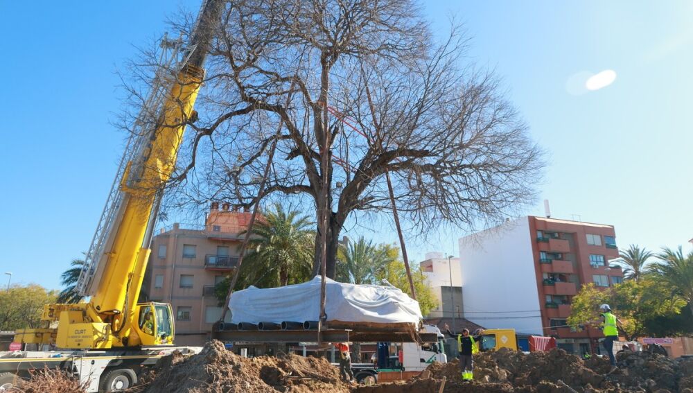 Maniobras de traslado del árbol 