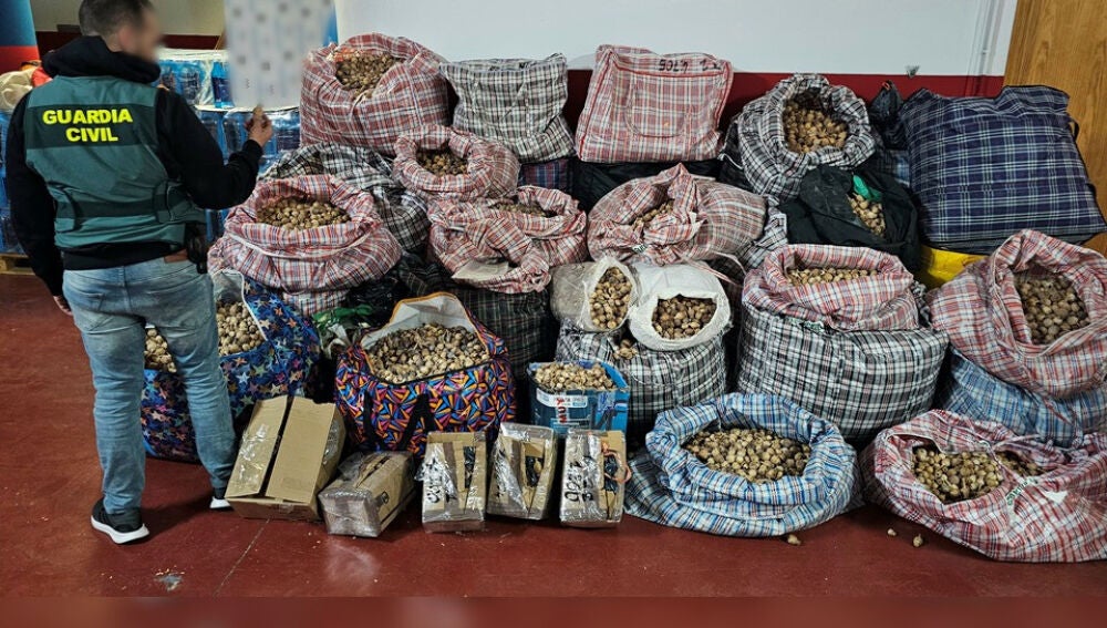 Parte de la droga incautada en la operación.