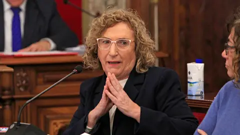 La portavoz socialista Ana Barceló La portavoz socialista Ana Barceló