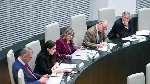 Los cinco concejales de Vox en el pleno del Ayuntamiento de Madrid Los cinco concejales de Vox en el pleno del Ayuntamiento de Madrid
