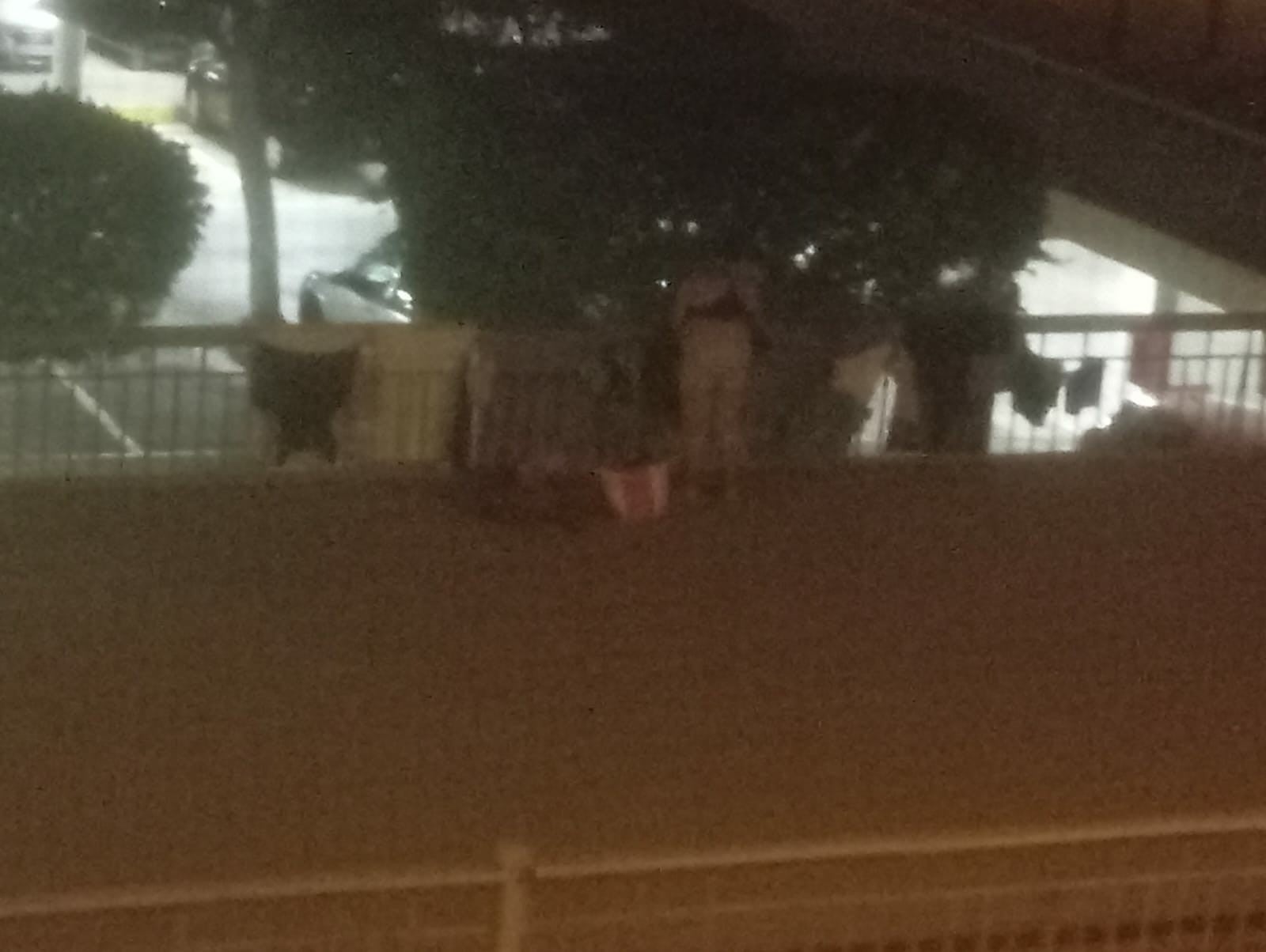 Problemas de seguridad e higiene en el Parque del Generalife colman la paciencia de los vecinos Problemas de seguridad e higiene en el Parque del Generalife colman la paciencia de los vecinos