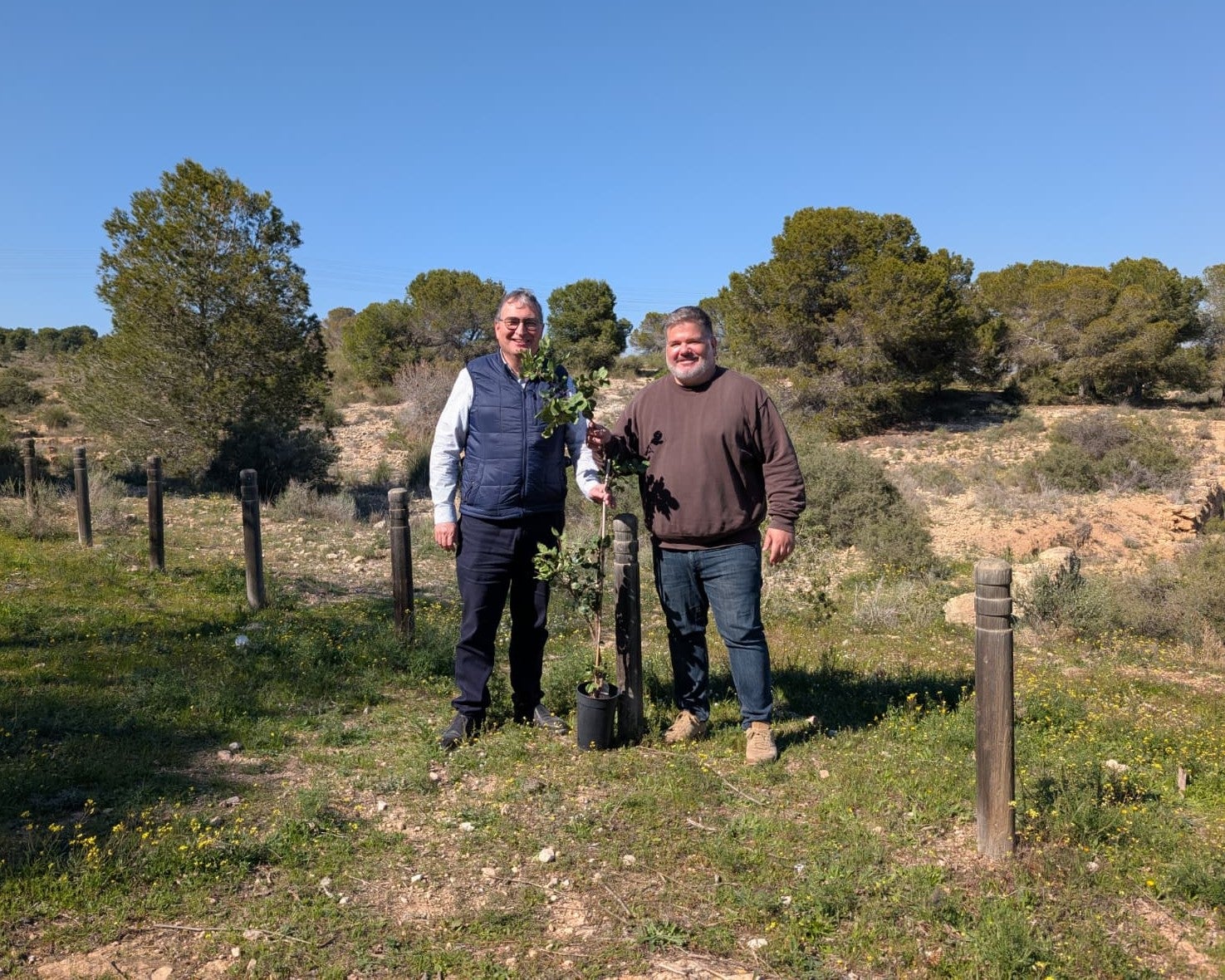 Vectalia se adhiere a Alicante Renace con la reforestación de 200 árboles en el Monte Orgegia Vectalia se adhiere a Alicante Renace con la reforestación de 200 árboles en el Monte Orgegia
