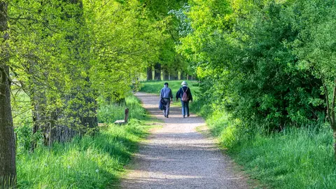 Dos personas mayores paseando El rasgo común que caracteriza a los jubilados más felices: así lo distingue la psicología