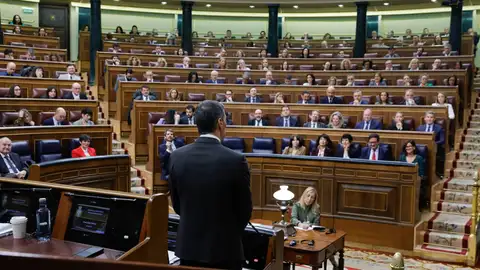 El presidente del Gobierno, Pedro Sánchez (c, de espaldas), responde al líder del PP, Alberto Núñez Feijóo (d, 2ª fila) El presidente del Gobierno, Pedro Sánchez (c, de espaldas), responde al líder del PP, Alberto Núñez Feijóo (d, 2ª fila)