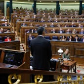  El presidente del Gobierno, Pedro Sánchez (c, de espaldas), responde al líder del PP, Alberto Núñez Feijóo (d, 2ª fila)