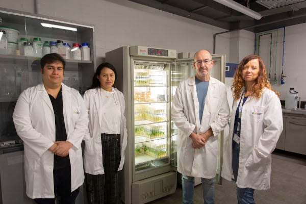 Un equip de l'UJI formula una composició bioestimulant que protegeix els cultius de condicions adverses i millora el rendiment de les collites Un equip de l'UJI formula una composició bioestimulant que protegeix els cultius de condicions adverses i millora el rendiment de les collites