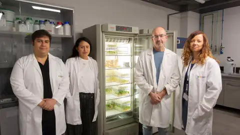 Un equip de l'UJI formula una composició bioestimulant que protegeix els cultius de condicions adverses i millora el rendiment de les collites Un equip de l'UJI formula una composició bioestimulant que protegeix els cultius de condicions adverses i millora el rendiment de les collites