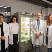 Un equip de l'UJI formula una composició bioestimulant que protegeix els cultius de condicions adverses i millora el rendiment de les collites Un equip de l'UJI formula una composició bioestimulant que protegeix els cultius de condicions adverses i millora el rendiment de les collites