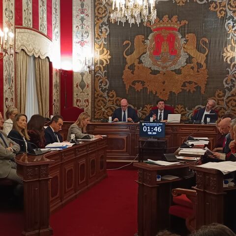 Imagen del pleno de este jueves