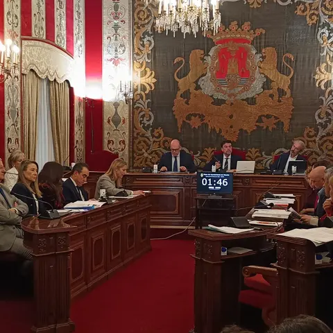 Imagen del pleno de este jueves