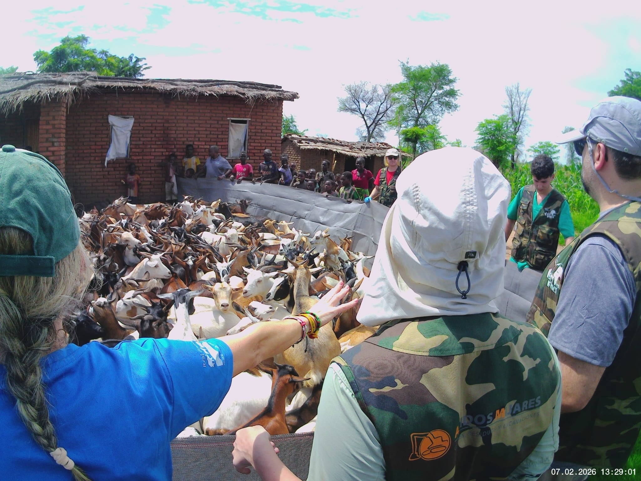 Veterinaria solidaria en Malawi: la experiencia del valenciano Jordi Aguiló sobre el terreno Veterinaria solidaria en Malawi: la experiencia del valenciano Jordi Aguiló sobre el terreno