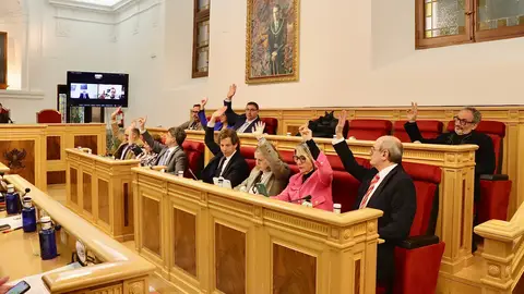 El Ayuntamiento de Toledo limitará el acceso a sus dependencias 'en caso de ocultación integral del rostro' El Ayuntamiento de Toledo limitará el acceso a sus dependencias 'en caso de ocultación integral del rostro'