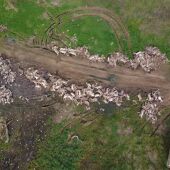 Montería que tuvo lugar en una finca de la comarca de Almadén