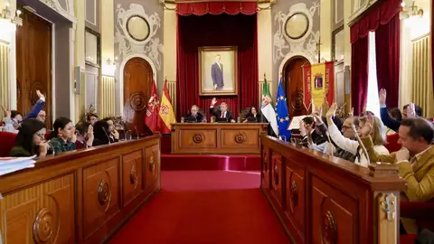 Pleno Badajoz Pleno Badajoz