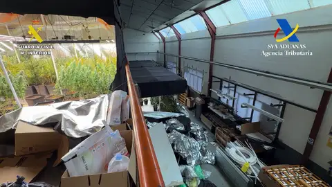 Nave industrial en la que los detenidos tenían la plantación de marihuana. Nave industrial en la que los detenidos tenían la plantación de marihuana.