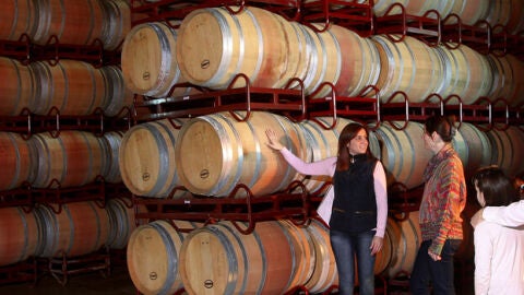 Visita bodega en el Somontano