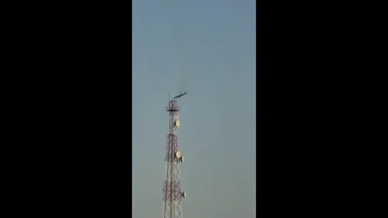 El vídeo del derribo por error de un avión de combate de EEUU por 'fuego amigo' de Kuwait El vídeo del derribo por error de un avión de combate de EEUU por 'fuego amigo' de Kuwait