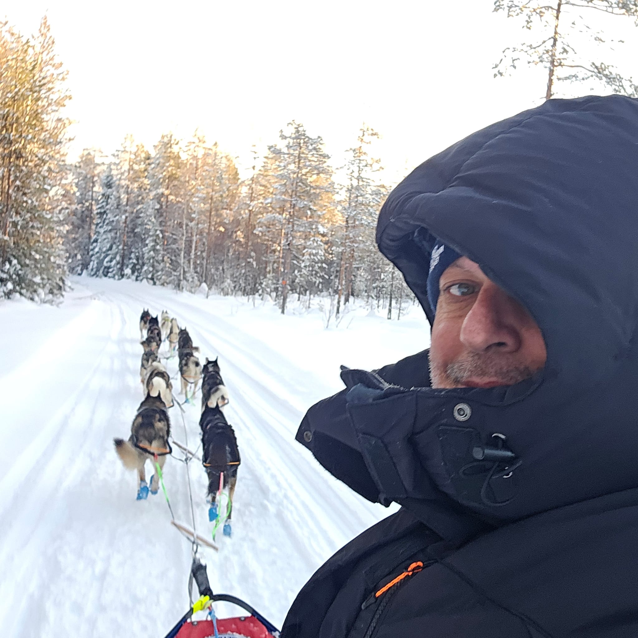 Baltasar Gallardo, a por la Finnmarksløpet: 600 km. de carrera nunca completados por ningún español Baltasar Gallardo, a por la Finnmarksløpet: 600 km. de carrera nunca completados por ningún español