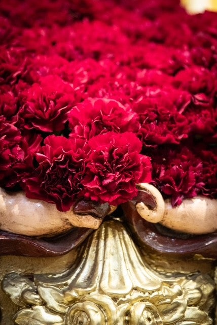 El arte floral de nuestros pasos El arte floral de nuestros pasos