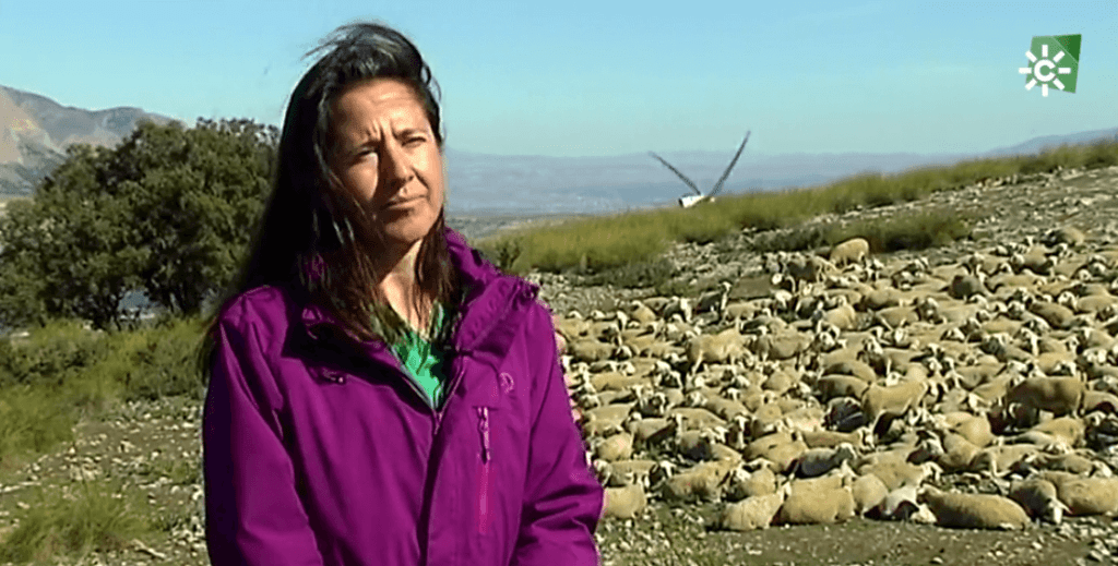 La trashumancia no es pasado: es una herramienta clave para el futuro del territorio La trashumancia no es pasado: es una herramienta clave para el futuro del territorio