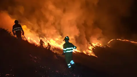 Incendio en Las Riegas, Carmona Incendio en Las Riegas, Carmona