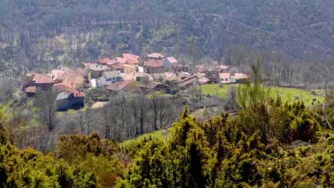 Se investiga si la muerte por aplastamiento bajo dos pacas de paja en Bocígano es un accidente de trabajo Se investiga si la muerte por aplastamiento bajo dos pacas de paja en Bocígano es un accidente de trabajo