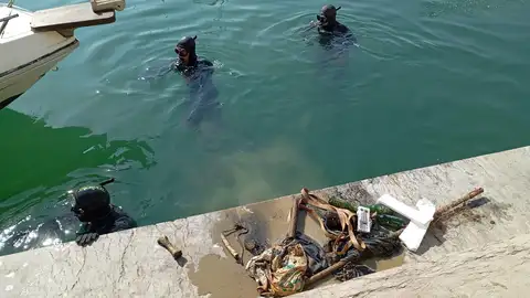 PortCastelló impulsa un plan ambiental para proteger la microrreserva del Serradal frente a la basuraleza PortCastelló impulsa un plan ambiental para proteger la microrreserva del Serradal frente a la basuraleza