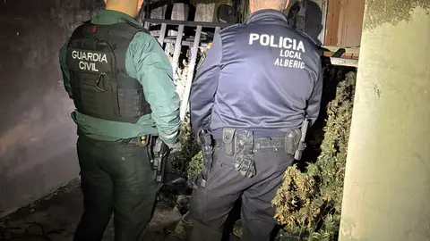 Localizada una plantación de cannabis tras un incendio en Alberic Localizada una plantación de cannabis tras un incendio en Alberic