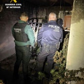 Localizada una plantación de cannabis tras un incendio en Alberic
