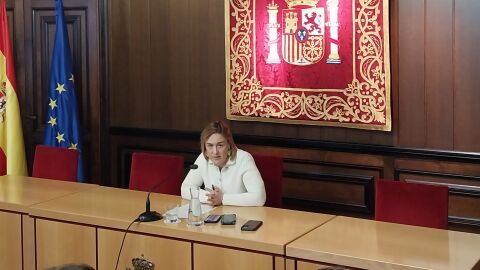 Alicia Echeverr&iacute;a da explicaciones de la actuaci&oacute;n policial en El Sadar