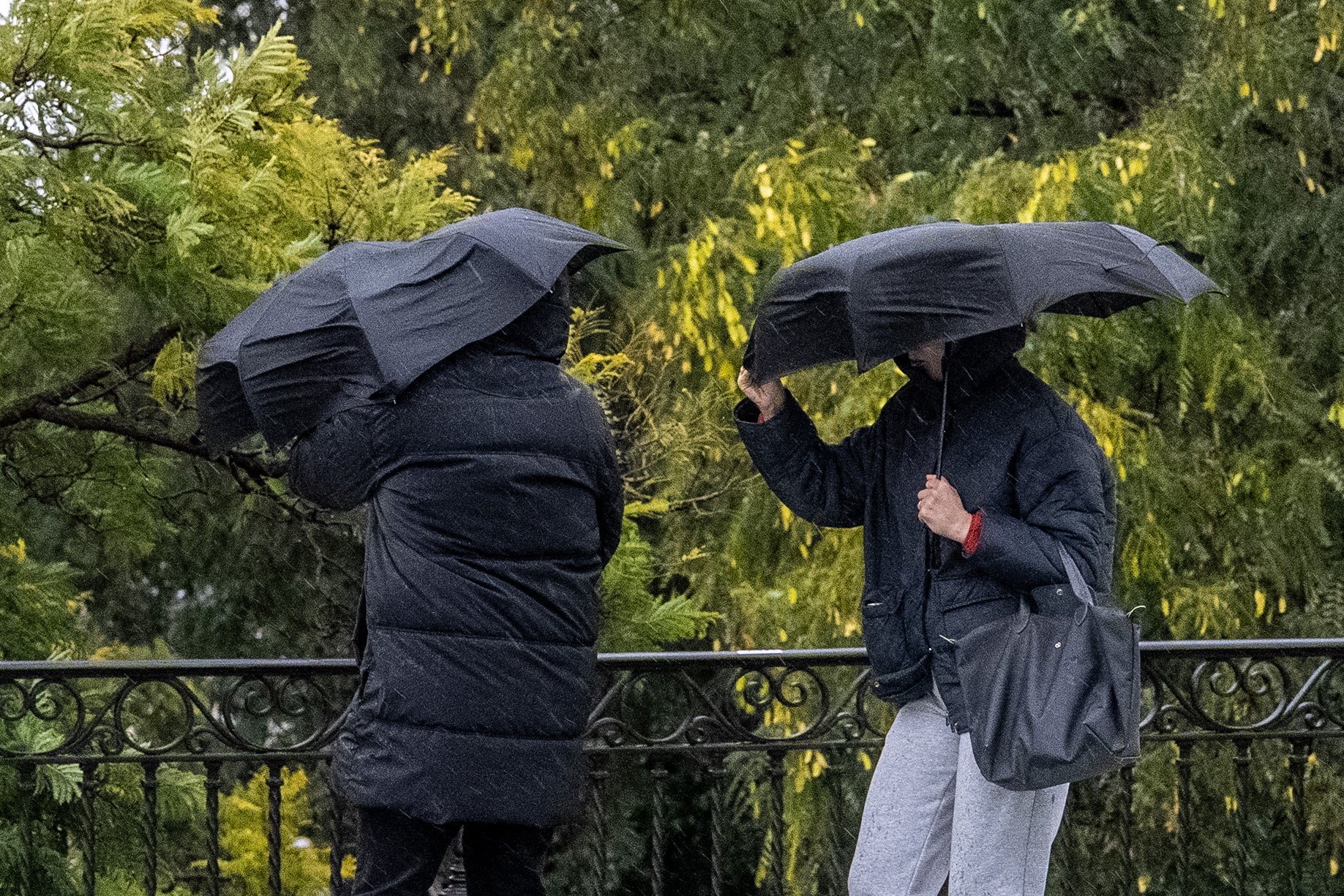 Dos personas se protegen de la lluvia y el viento Dos personas se protegen de la lluvia y el viento