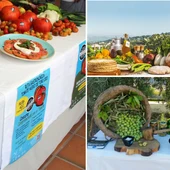 Alhaurín El Grande: el sabor del Valle del Guadalhorce entre pan y miel Alhaurín El Grande: el sabor del Valle del Guadalhorce entre pan y miel