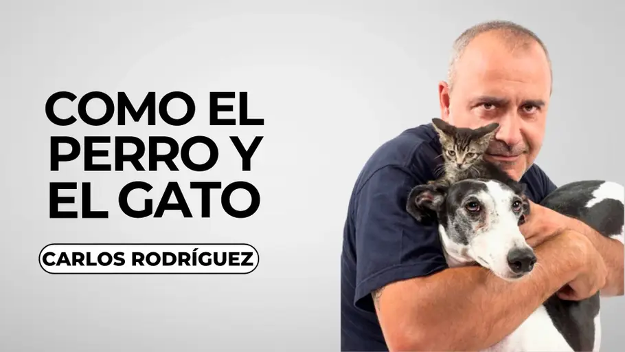 Carlos Rodríguez en el cartel de `Como el perro y el gato´ Carlos Rodríguez en el cartel de `Como el perro y el gato´