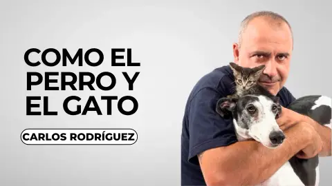 Carlos Rodríguez en el cartel de `Como el perro y el gato´ Carlos Rodríguez en el cartel de `Como el perro y el gato´
